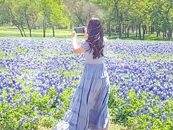 Bluebonnet field