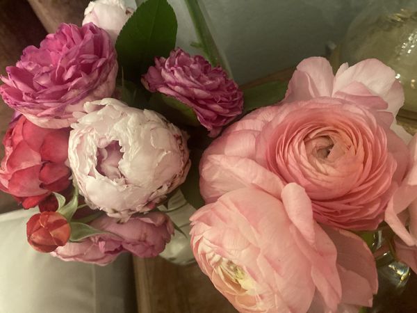 Ranunculus and peonies